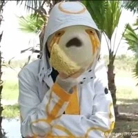 cục băng đi động