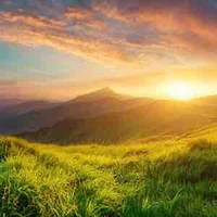 All bot trừ ai cũng được