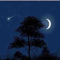 All top trừ ai cũng được