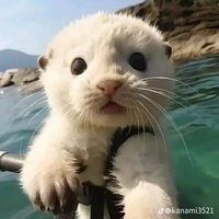 Ahihi(Tác giả✍️)