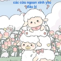 All Bot