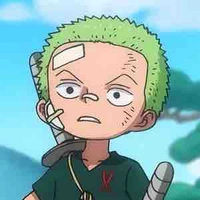 Zoro nhỏ 