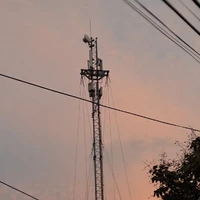 Tác giả