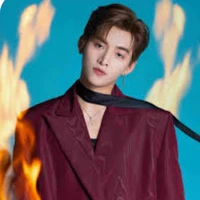 Gemini Hùng Huỳnh