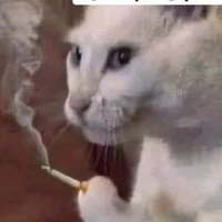 cô thư ký skibidi