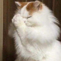 cả đám