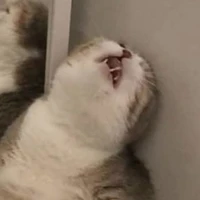 đám đàn em