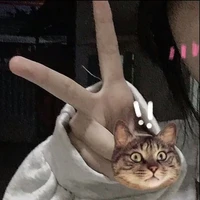 t/g