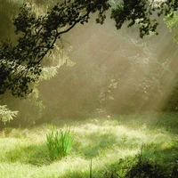 𝐀𝐥𝐥 (trừ người cần trừ)