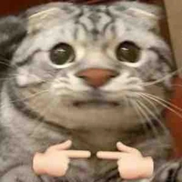 Mồn lèo rảnh háng