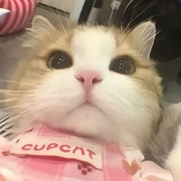 t/g