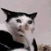 Nhân vật quần chúng