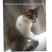 nhân vật đặc biệt