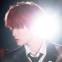 Tô Tân Hạo ( em )