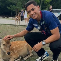 Patrik (trik): _Patrikgst