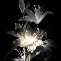 tác giả QUÁI DỊ?!(ruu)