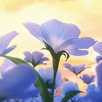all