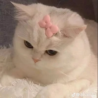 Tác giả