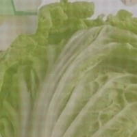 tác giả gà mờ