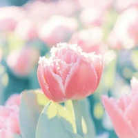 all