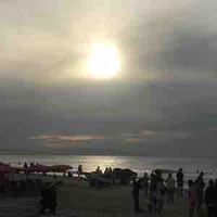 Tác giả