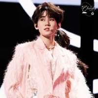 Trương Chân Nguyên_idol_