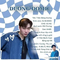 dương domic