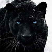 Lê Quang Hùng (Dạng thú)