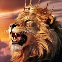 Nguyễn Quang Anh (Dạng thú)