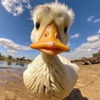 Nhỏ tác giả 🌷