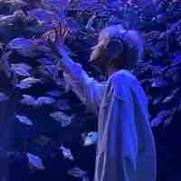 Phạm Vũ Việt Anh