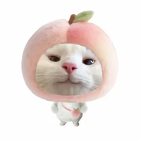 Con tác giả✨️