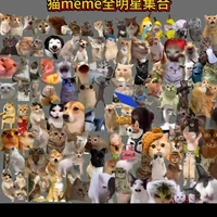 all(trừ ai thì trừ)