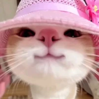 Akira - Tác giả sạt boi =)))