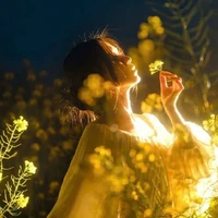 Điệp Tuệ Lâm