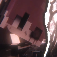 hiha teddy bear - gấu bel