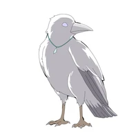 Kzuni