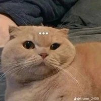 Tác giả