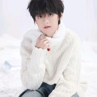 Yang HanBo