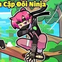 hiha ninja