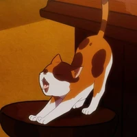 Natsume soseki/ dạng mèo/