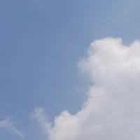 ？？？