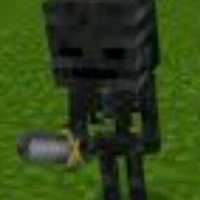 Withir (em trai wither)