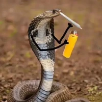 con rắn hút thuốc