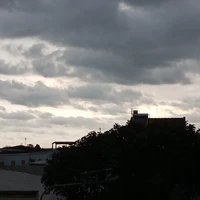 con lười tác giả