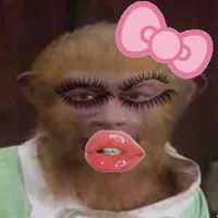 Bác tài xế xui rủi