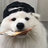 tác giả ngoan xinh iu của cậu