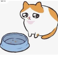 t/g đói cmt
