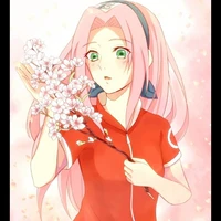 sakura