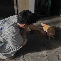 Đình Minh (nyc của Y/N)